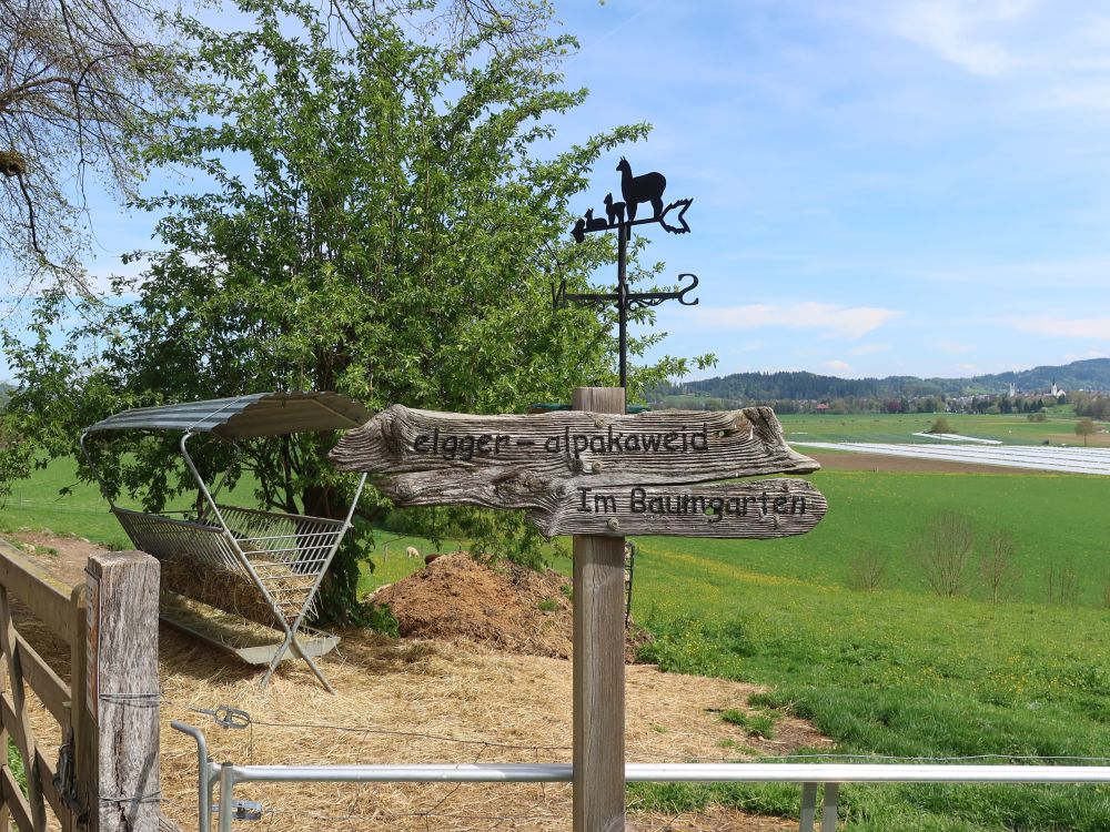 Futterkrippe Alpakaweid