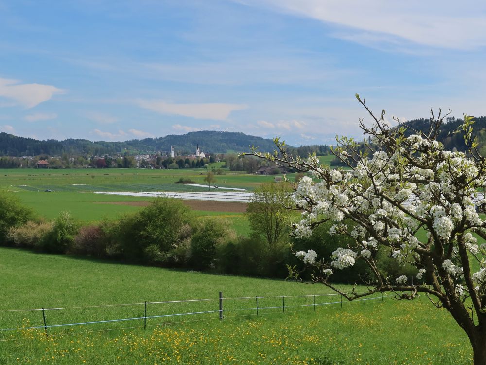 Blick Richtung Aadorf