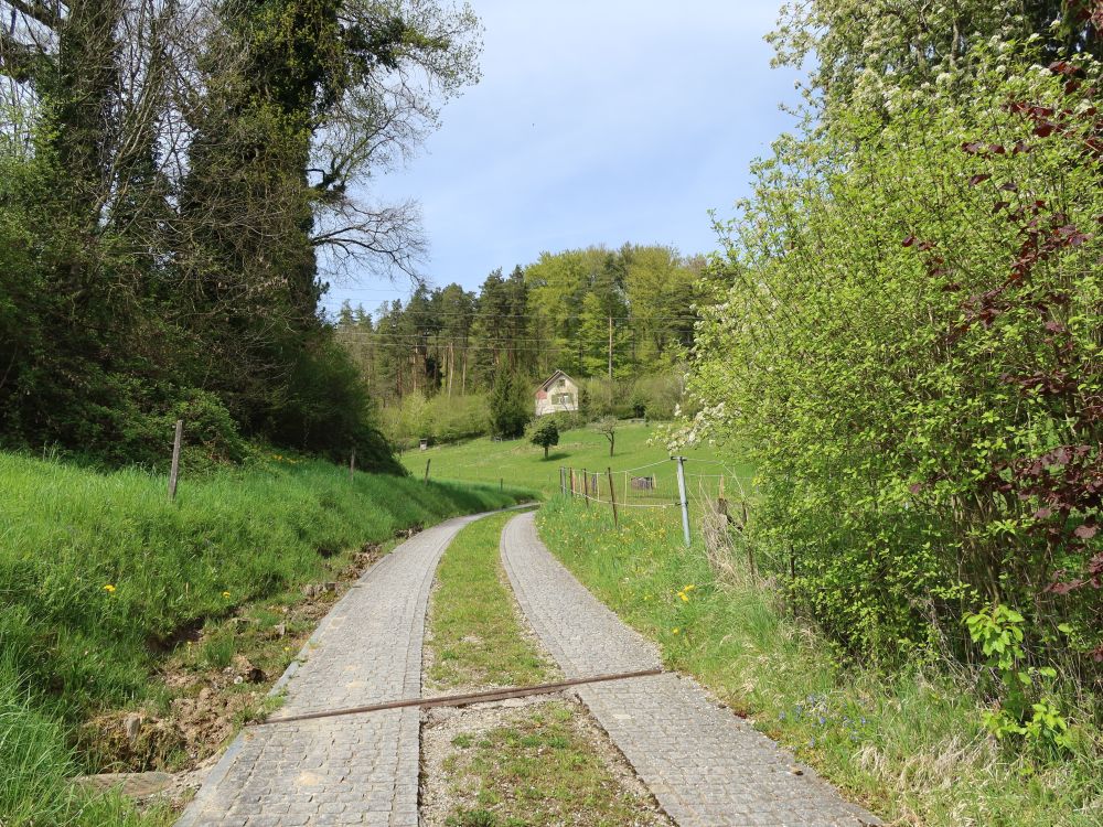 Weg zum Naturfreundehaus