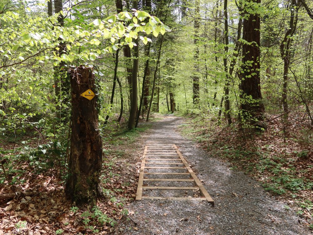 Treppe
