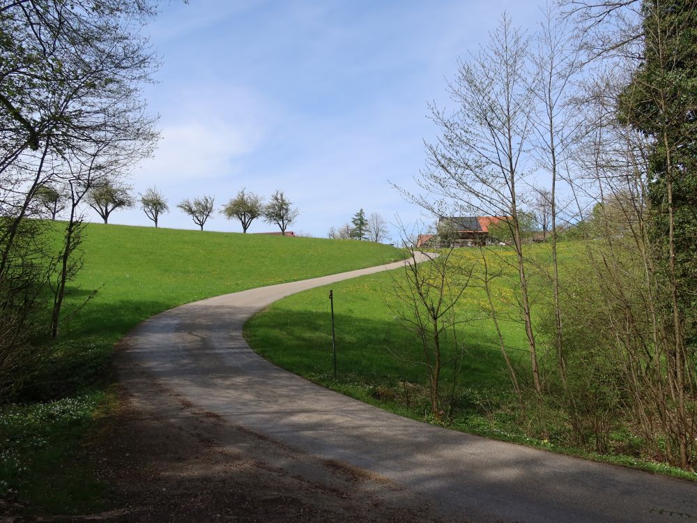Blick zum Schneitberg