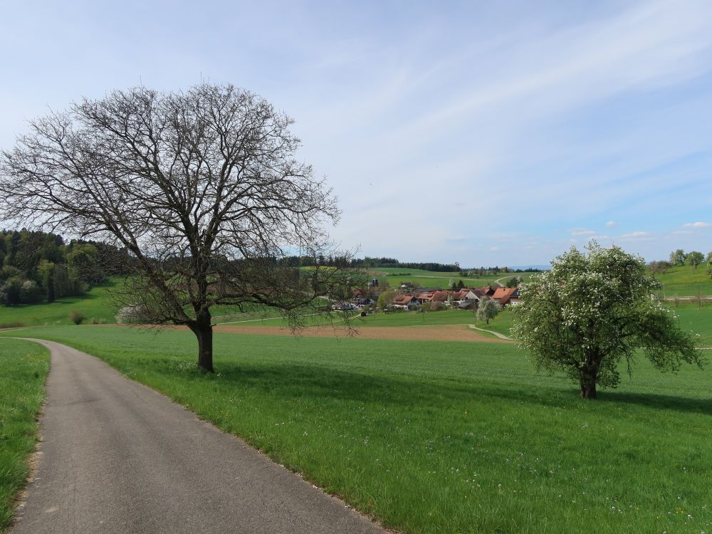 Blick Richtung Oberschneit
