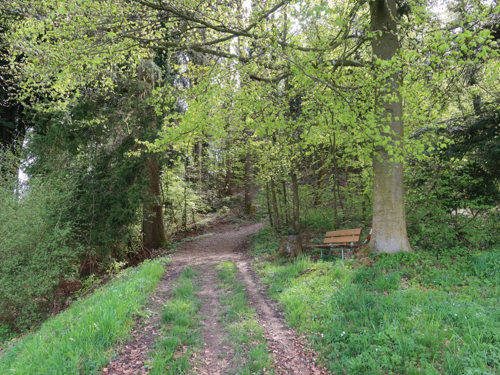 Sitzbank am Langgrabenweg