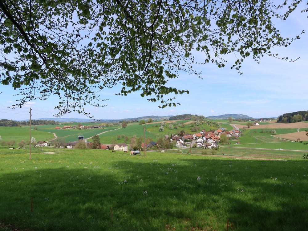 Blick Richtung Oberschneit