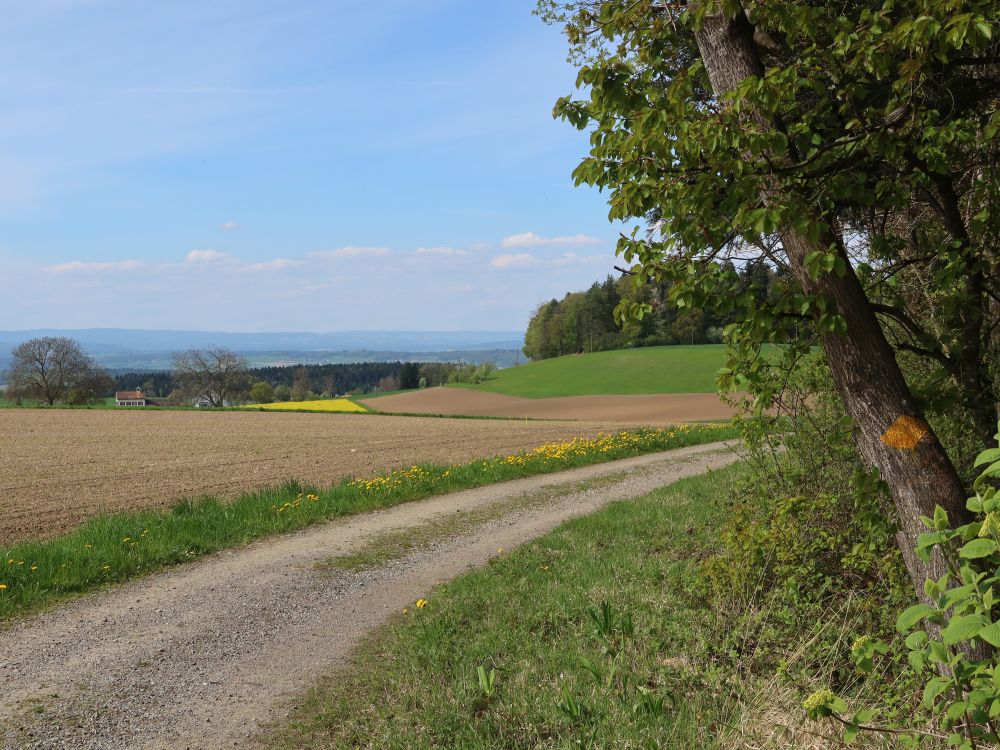 Schönenbergweg