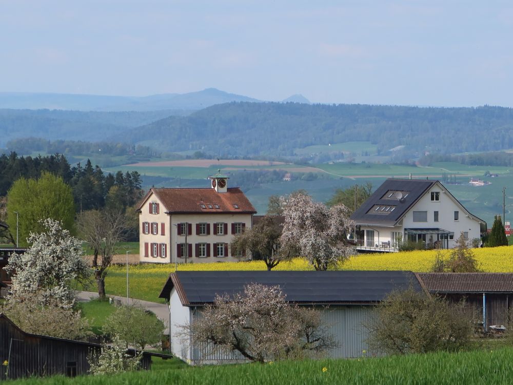 Zünikon unter Hohenstoffeln und Hohenhewen
