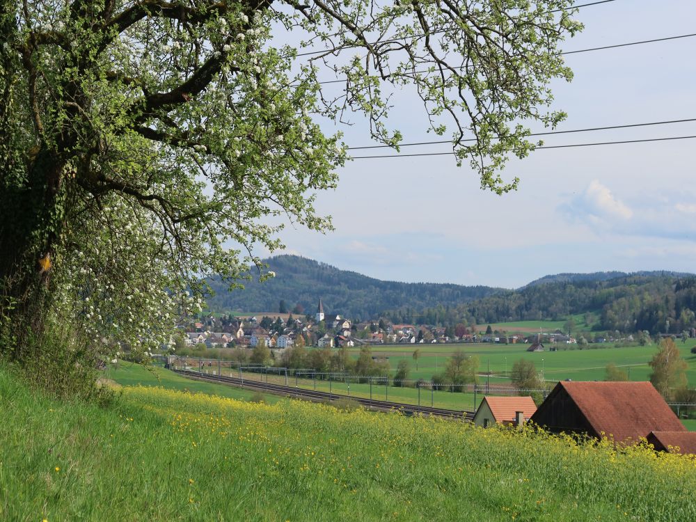 Blick Richtung Elgg