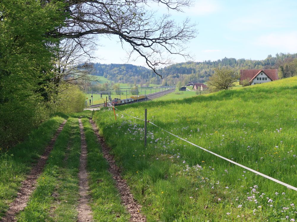 Blick Richtun Pfaffenmatten