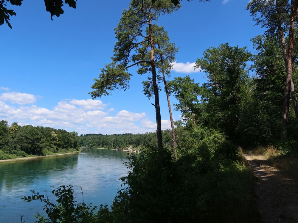 Rhein