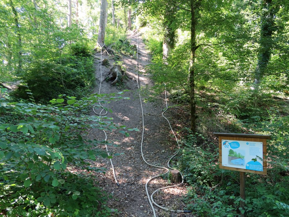 Kletterhang mit Seilen