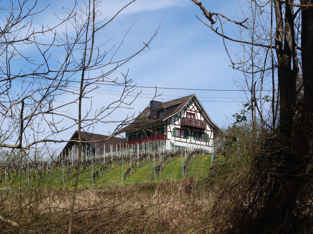 Häuser am Guldenberg