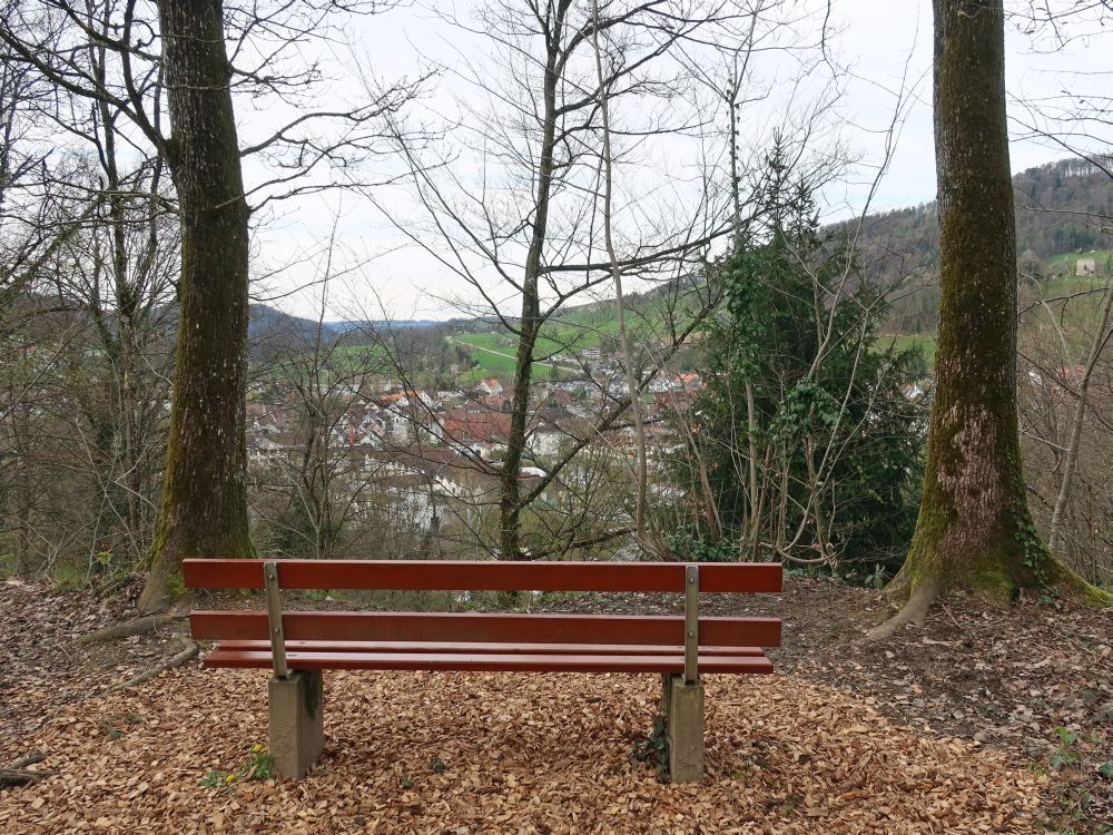 Sitzbank mit Blick auf Freienstein