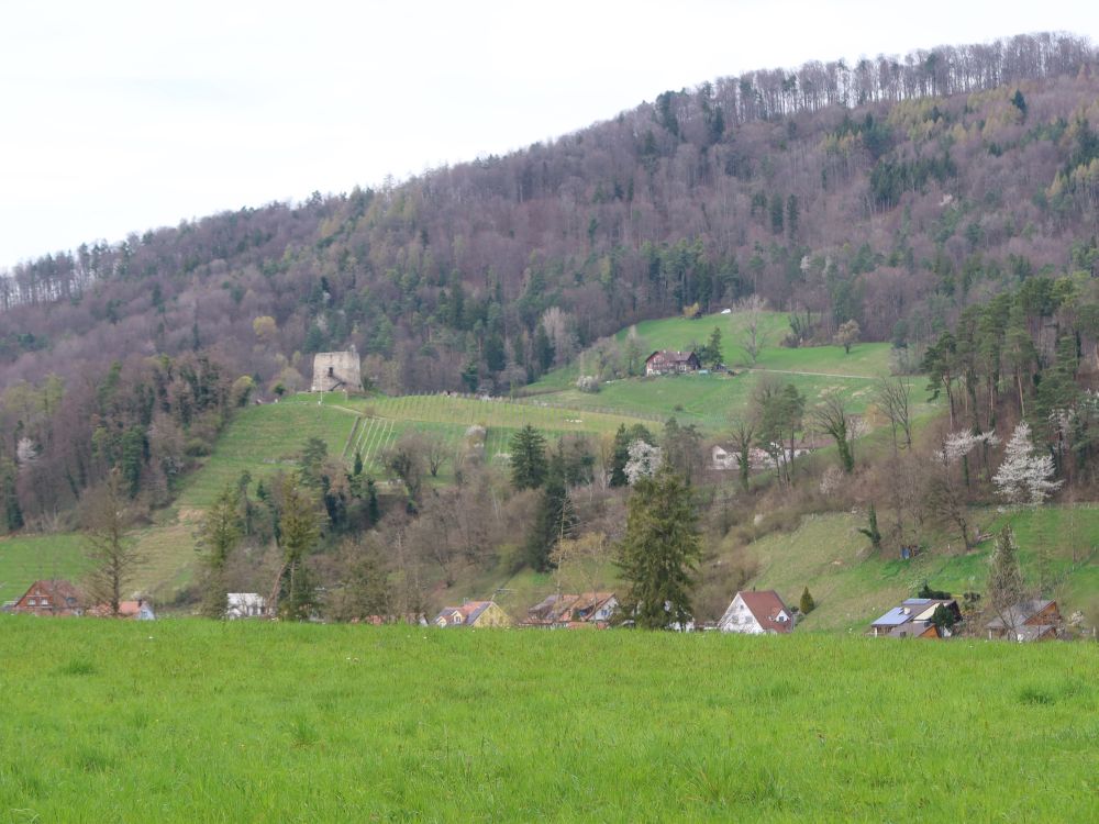 Blick zur Ruine Freienstein
