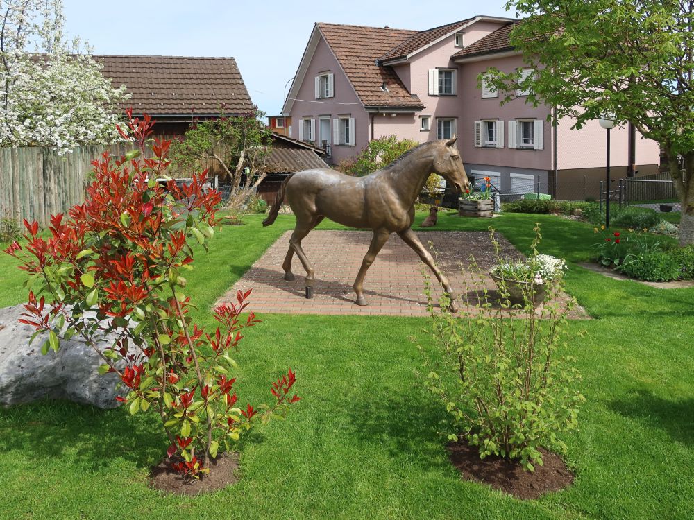 Pferd im Garten