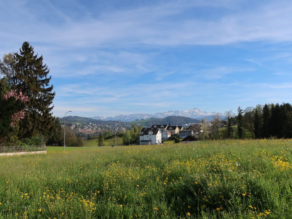 St. Gallen und Säntis