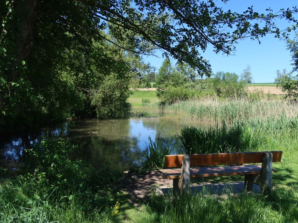 Sitzbank am Entenweiher