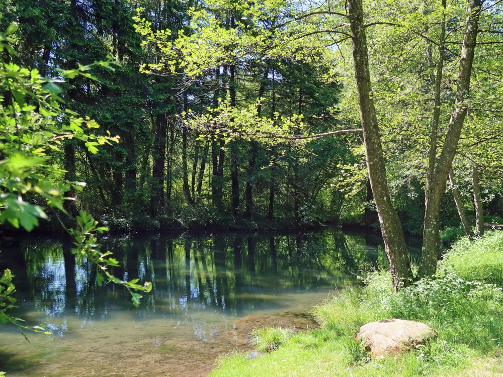 Entenweiher