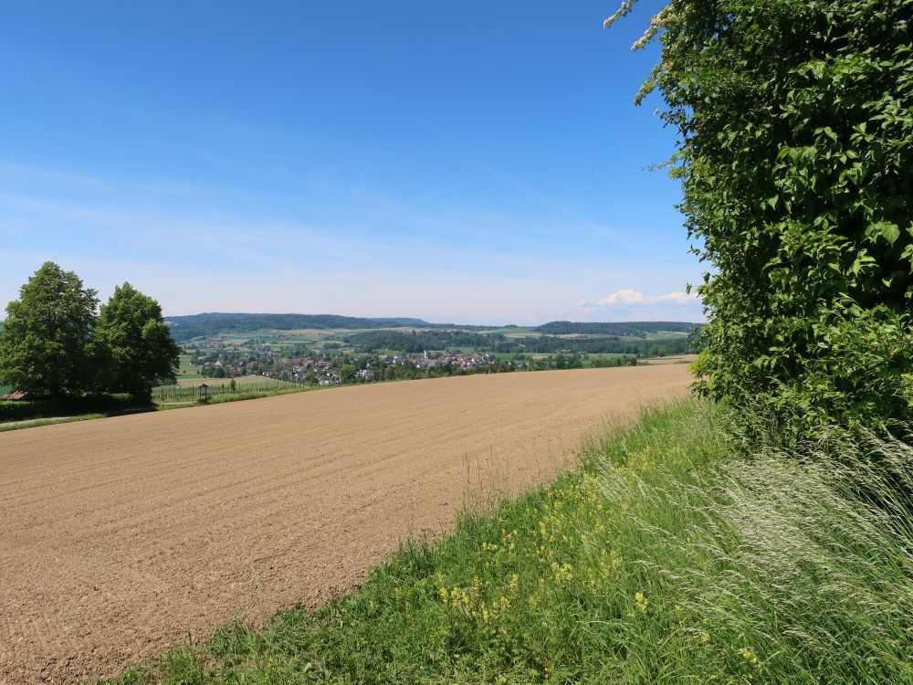 Blick Richtung Hettlingen