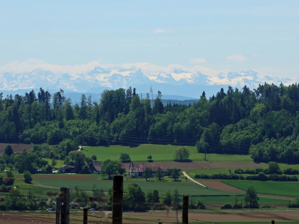 Glarner Alpen in Dunst