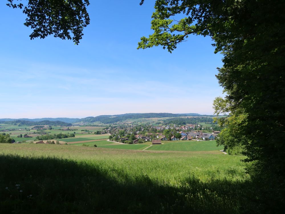 Blick Richtung Hettlingen