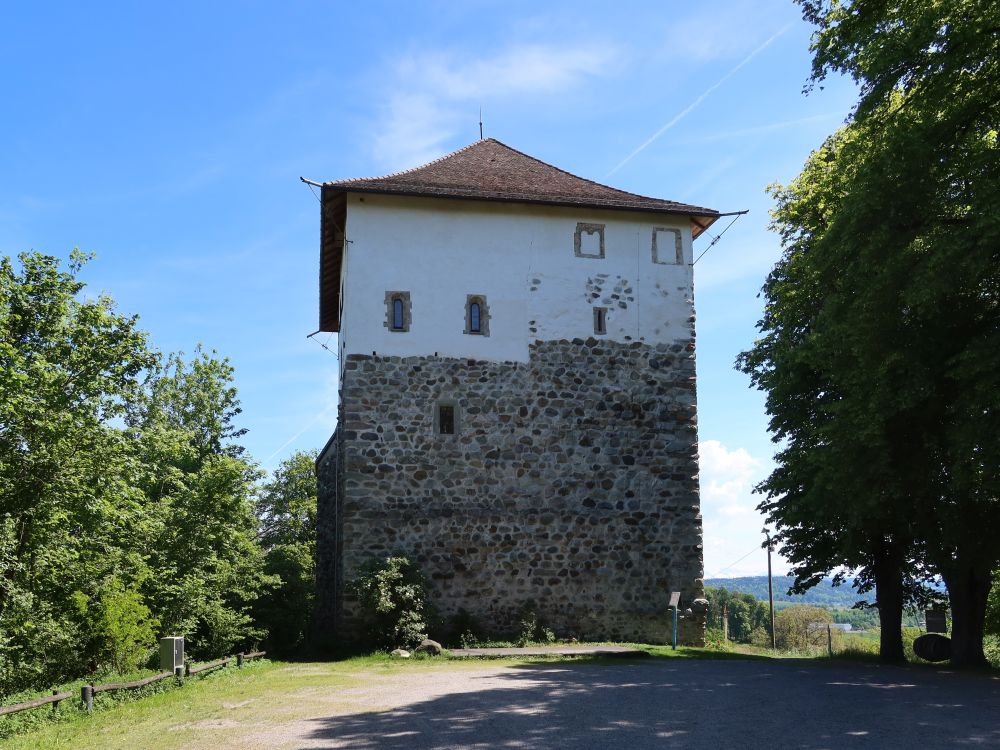 Schloss Mörsburg