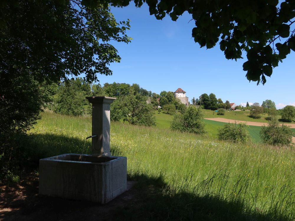 Brunnen und Schloss Mörsburg