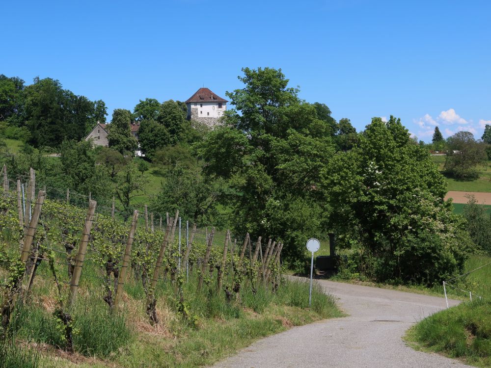 Schloss Mörsburg