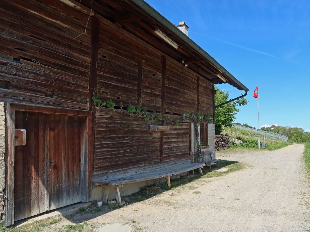 Scheune am Rebberg