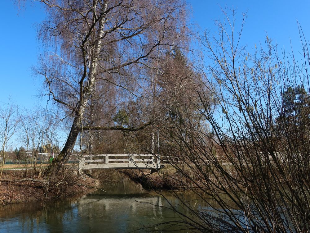 Steg über Zufluss der Glatt