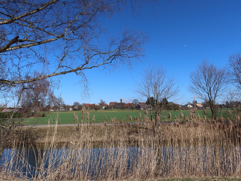 Blick Richtung Schwerzenbach