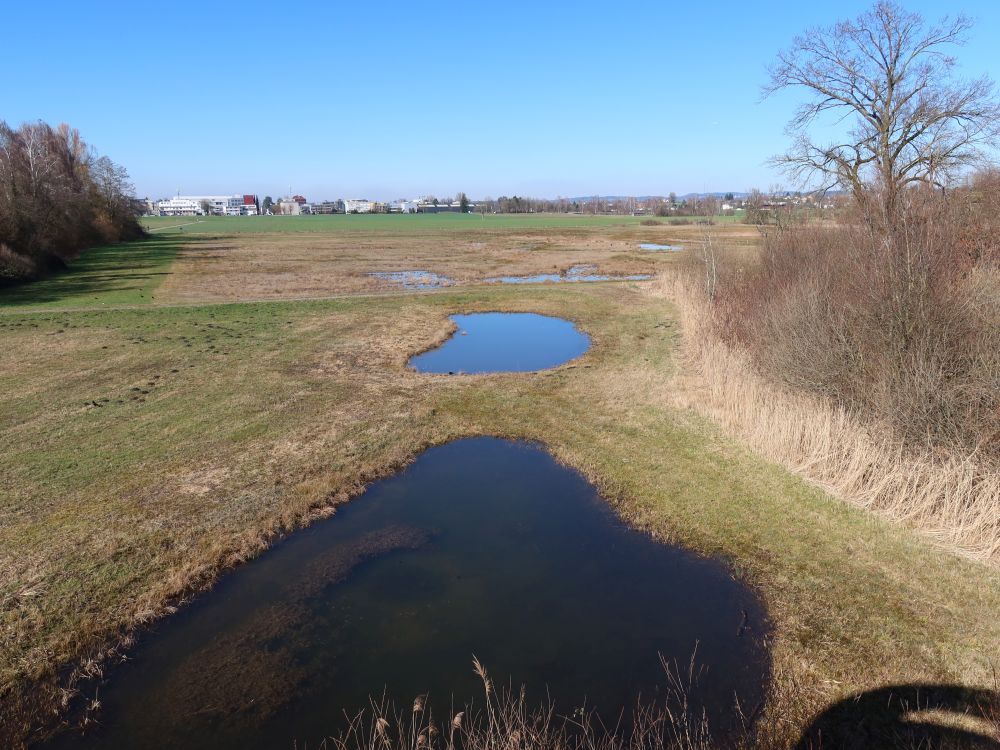 Tümpel im Stritgfenn