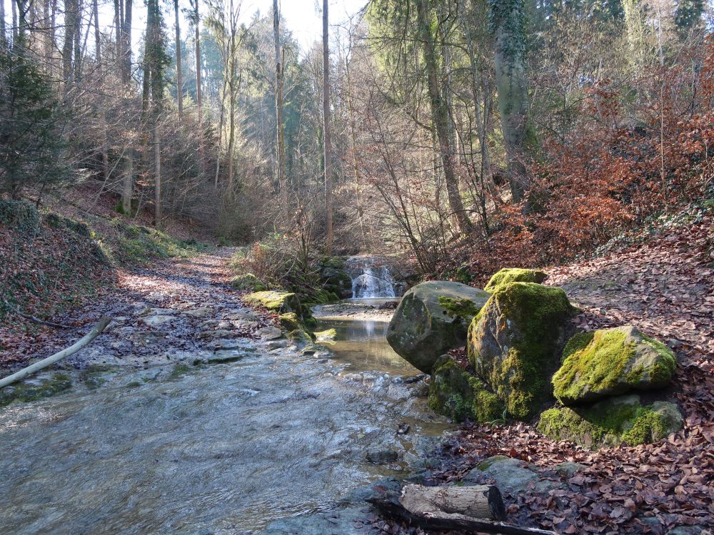 Übergang am Rohrbach