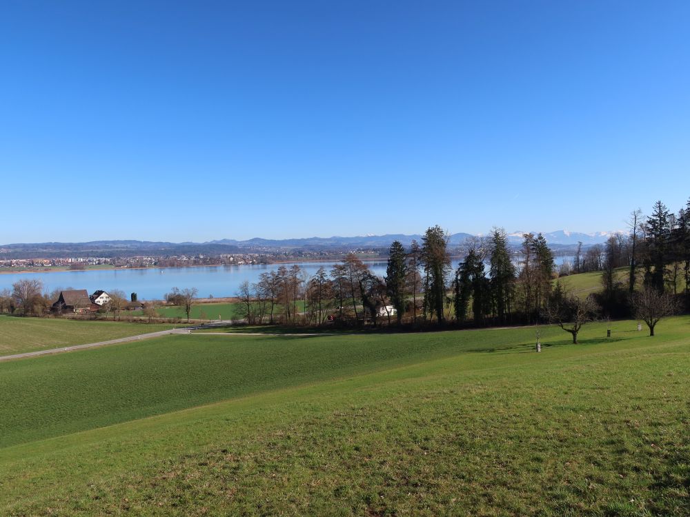 Blick Richtung Greifensee
