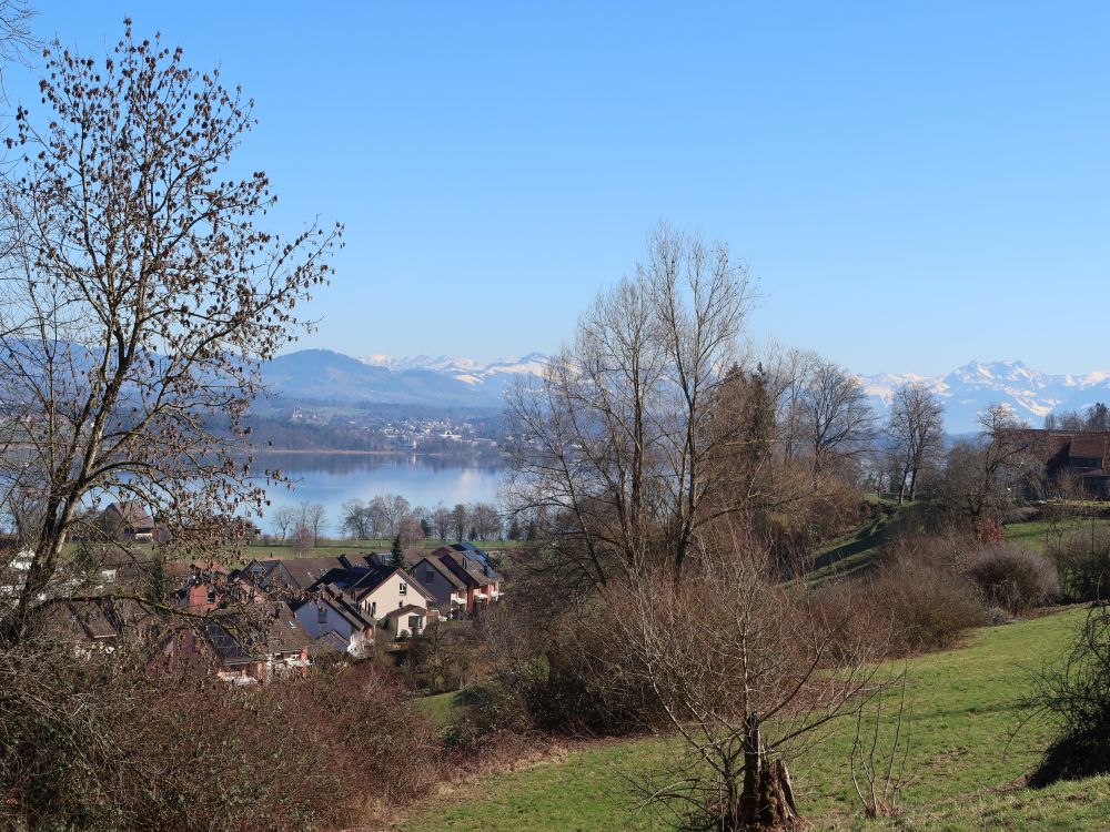 Greifensee und Alpen