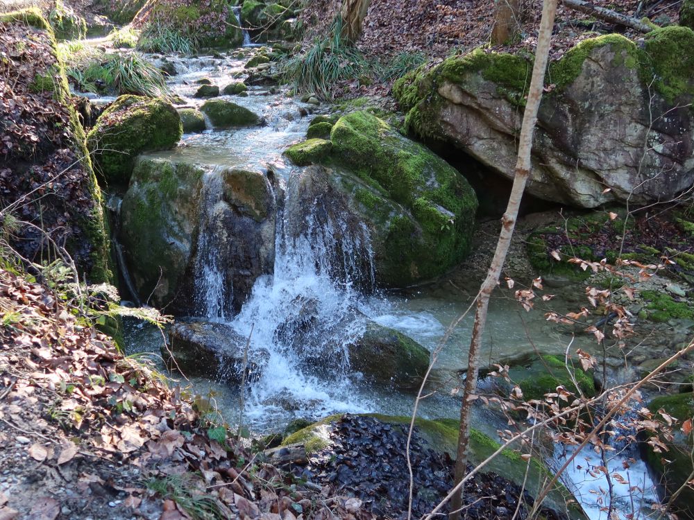 Kleiner Wasserfall im Jörentobel