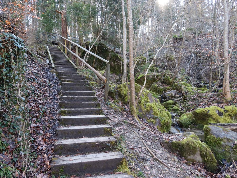 Treppe im Jörentobel