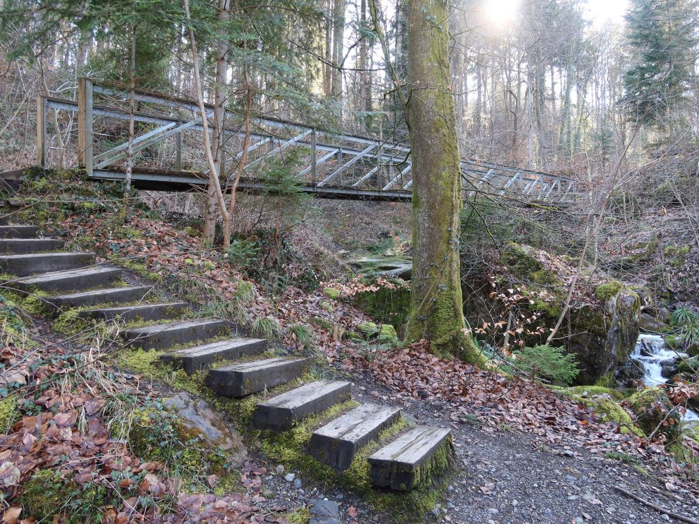 Treppe und Steg im Jörentobel