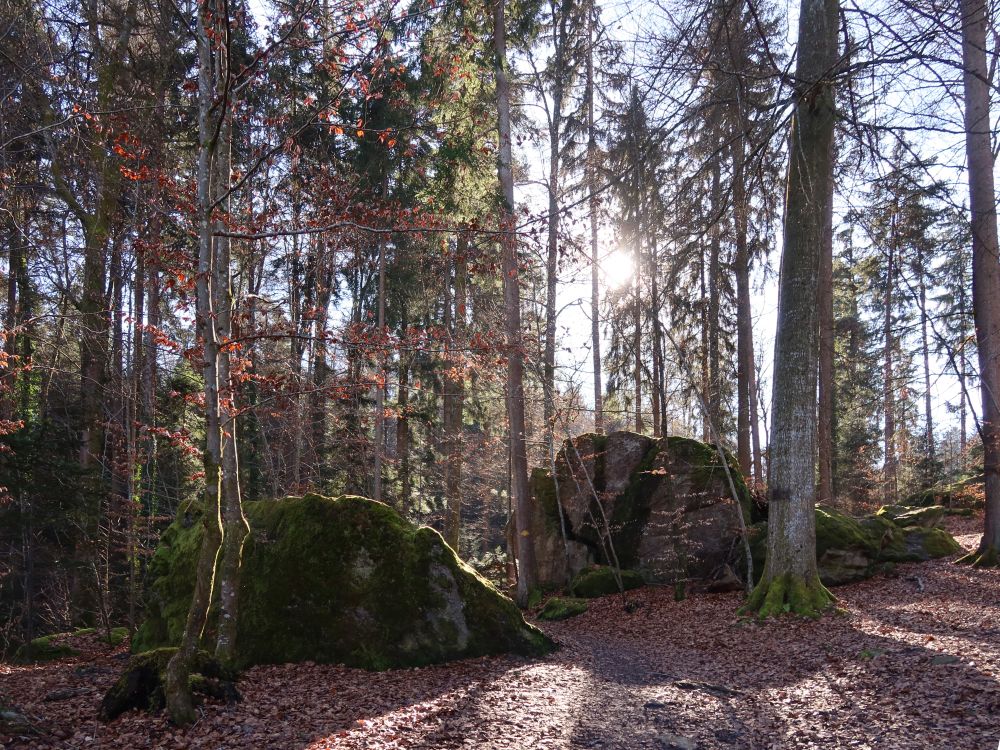 Steine im Jörentobel