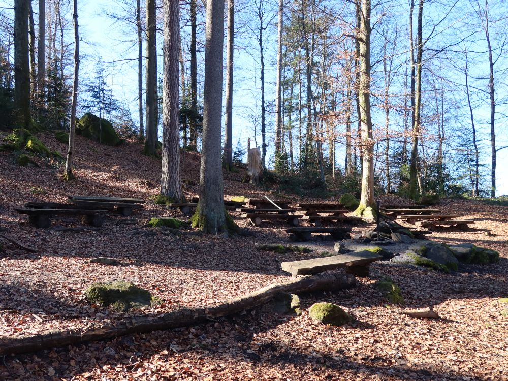 Sitzbänke und Grillplatz