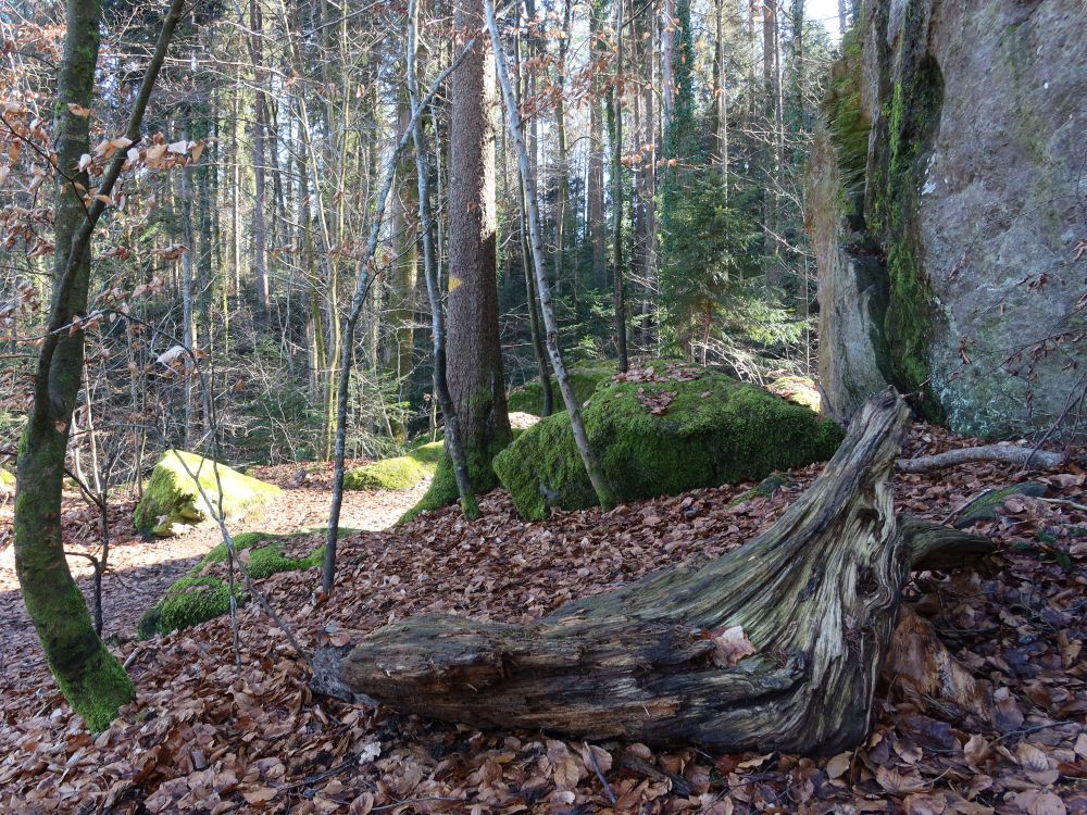 Steine im Jörentobel