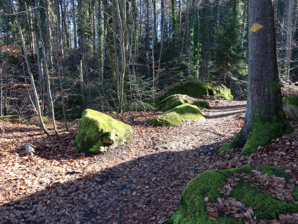 Steine im Jörentobel