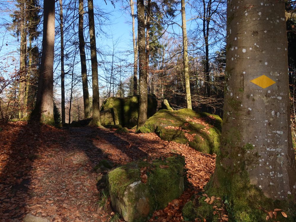 Steine im Jörentobel