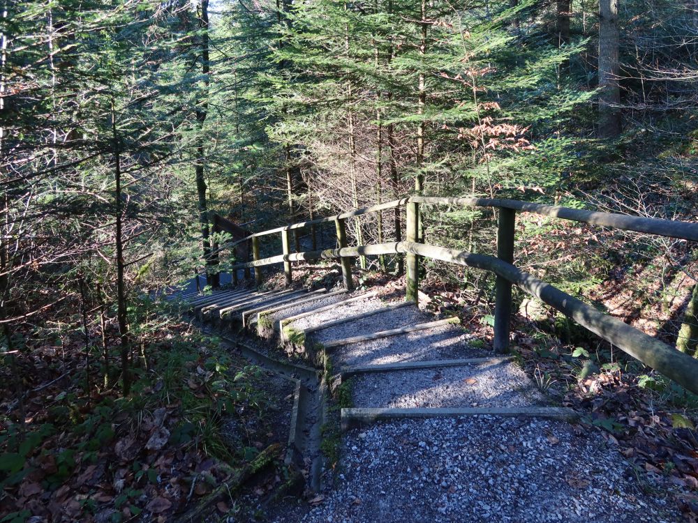 Treppe im Wisbachtobel