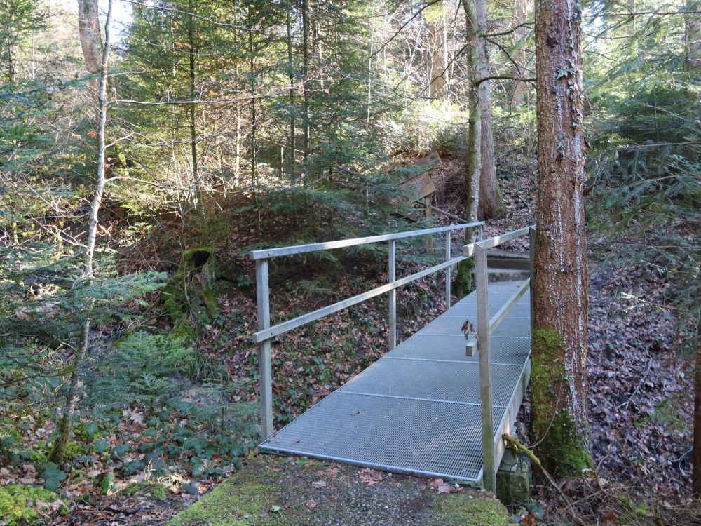 Steg im Wisbachtobel