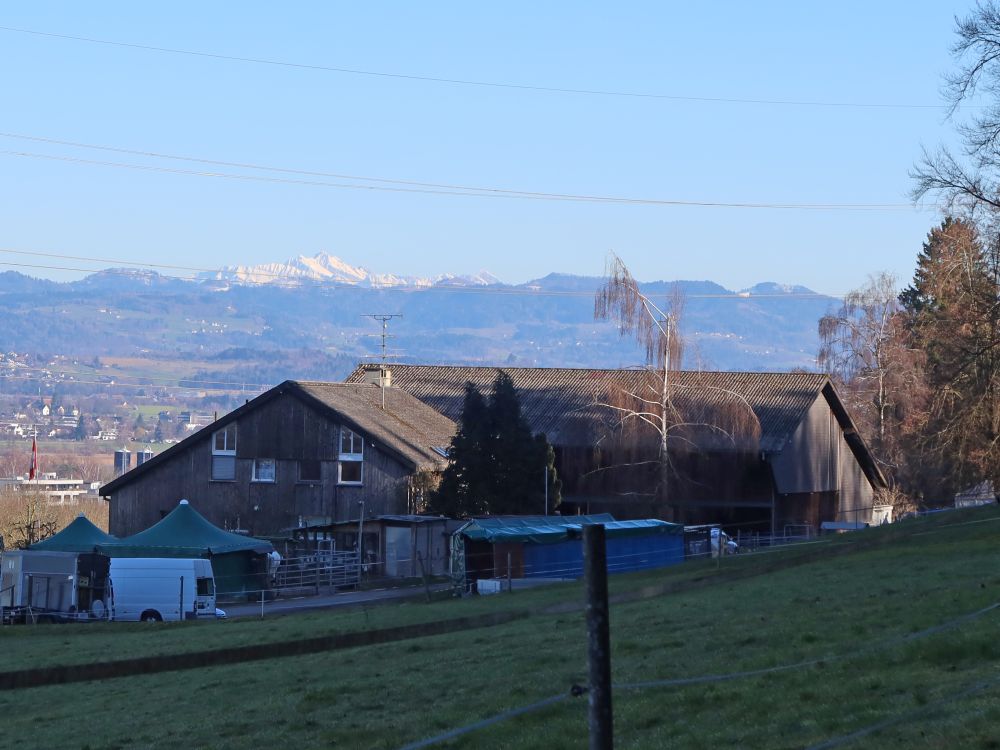 Bollenrüti mit Säntis