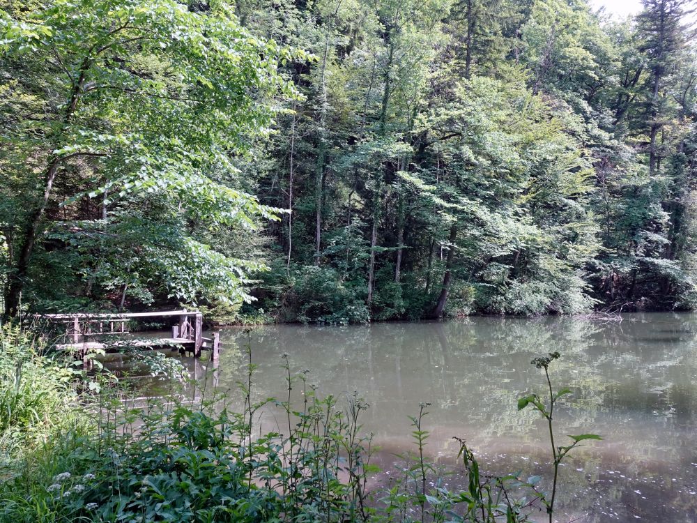 Teich im Farenbachtobel