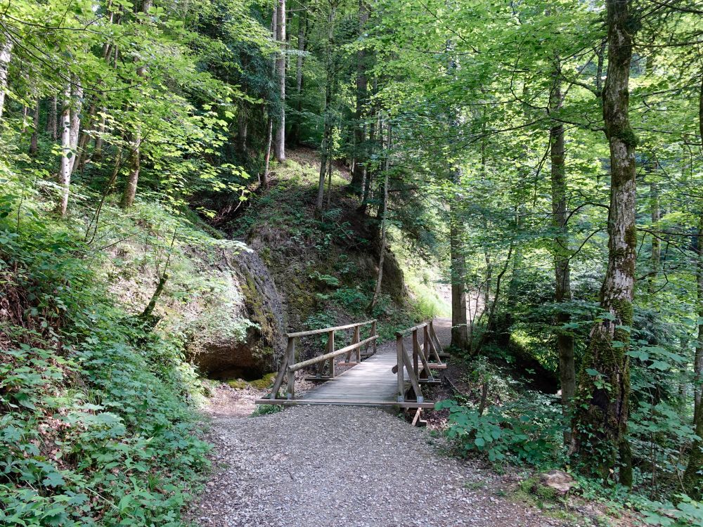 Steg über den Farenbach