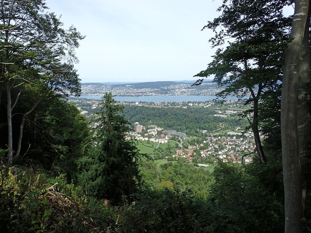 Blick zum Zürichsee