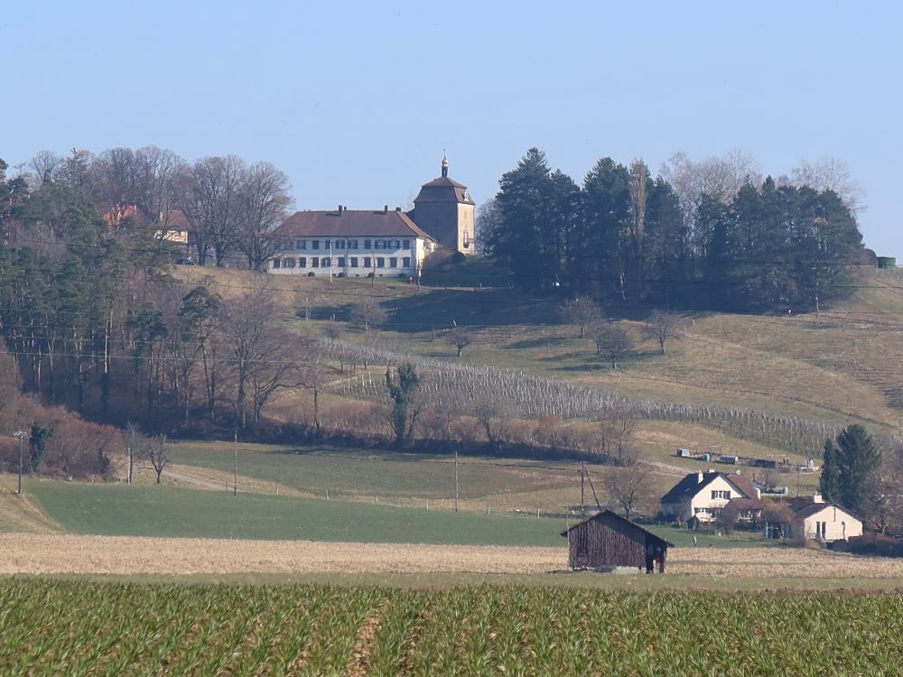 Schloss Goldenberg
