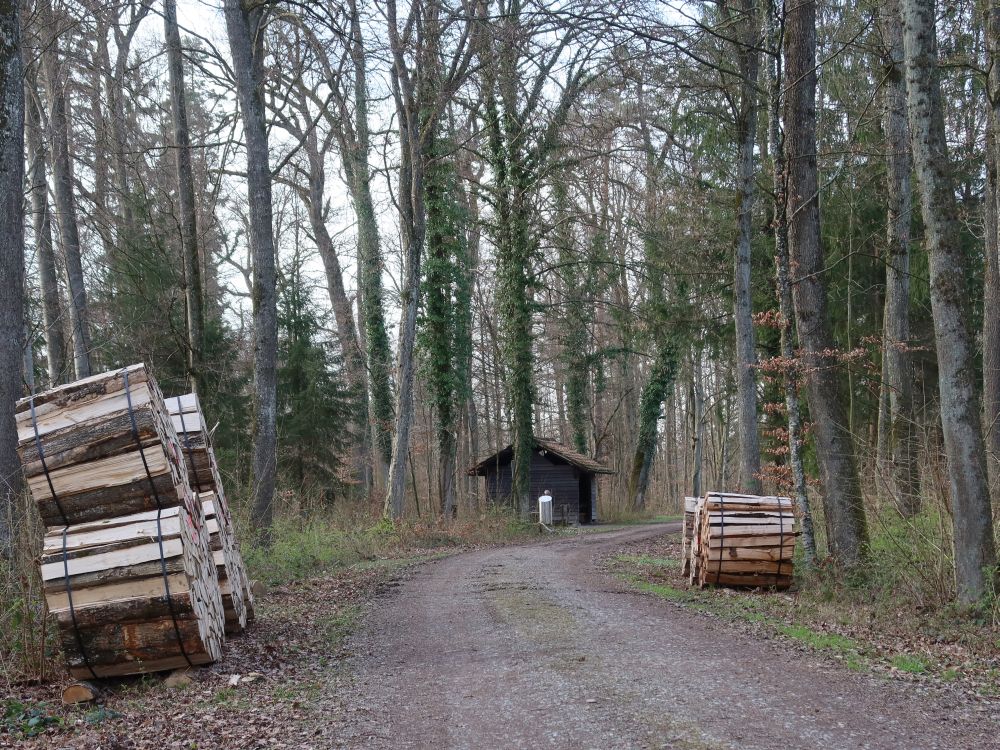 Waldhütte und Brennholz